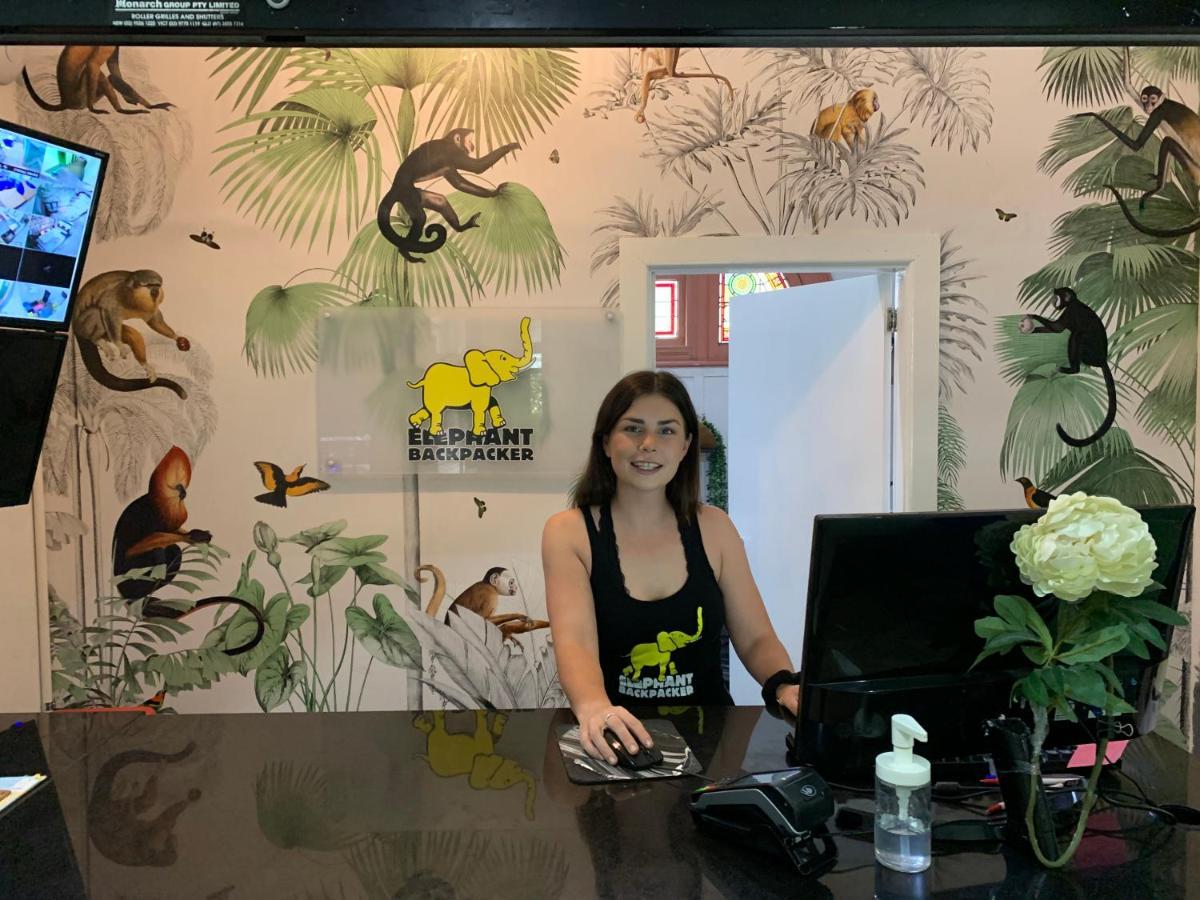 Elephant Backpacker Sydney Exteriér fotografie